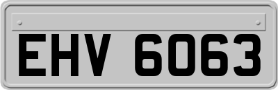 EHV6063
