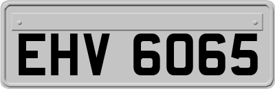 EHV6065