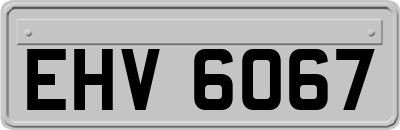 EHV6067