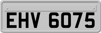 EHV6075
