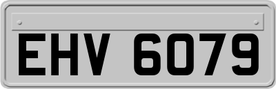 EHV6079