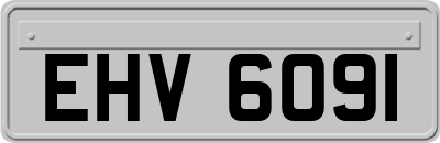 EHV6091