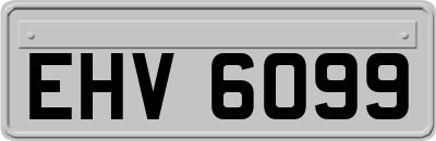 EHV6099