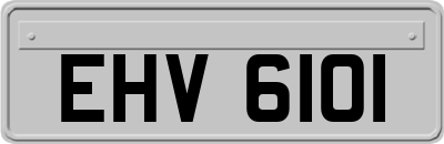 EHV6101