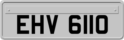 EHV6110