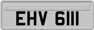 EHV6111