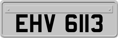 EHV6113