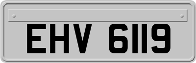 EHV6119