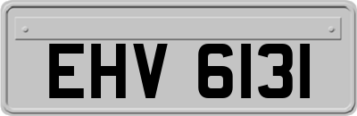 EHV6131