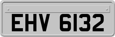 EHV6132