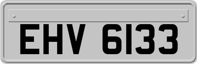 EHV6133