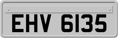 EHV6135
