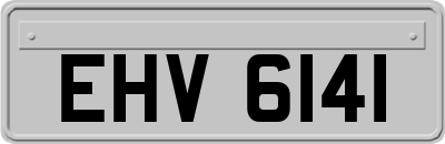 EHV6141