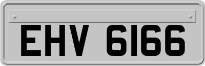 EHV6166
