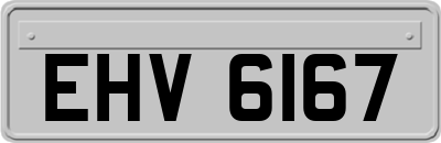 EHV6167