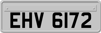EHV6172