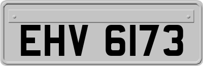 EHV6173