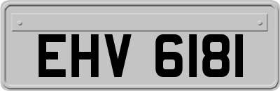 EHV6181