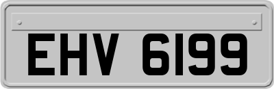 EHV6199