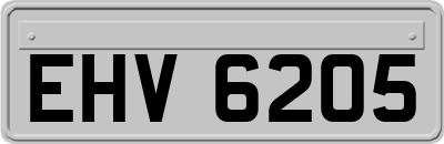 EHV6205
