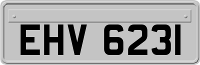 EHV6231