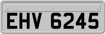 EHV6245