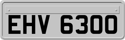 EHV6300