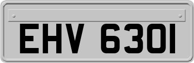 EHV6301