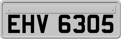 EHV6305