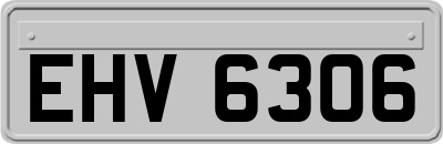 EHV6306