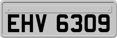 EHV6309