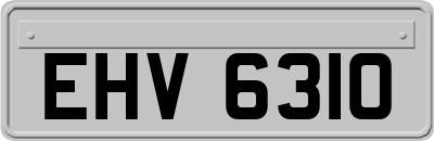 EHV6310