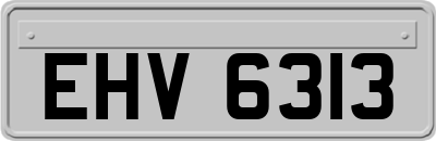 EHV6313