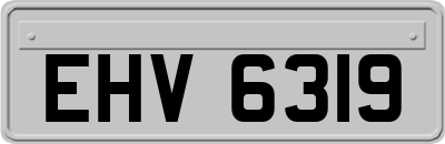 EHV6319