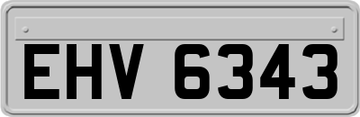 EHV6343