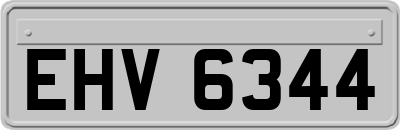 EHV6344