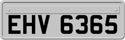 EHV6365