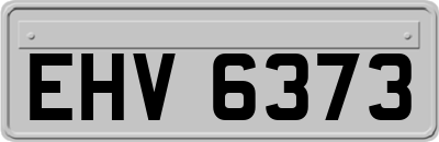 EHV6373
