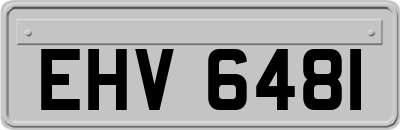 EHV6481