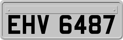 EHV6487