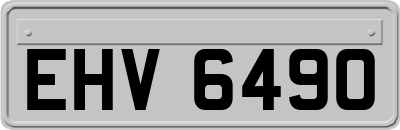 EHV6490