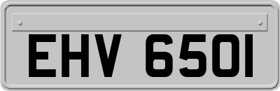 EHV6501
