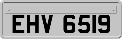 EHV6519
