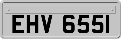 EHV6551