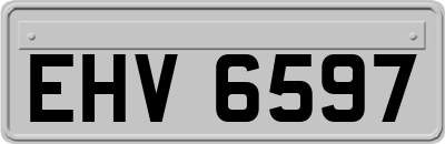 EHV6597