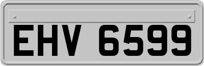 EHV6599