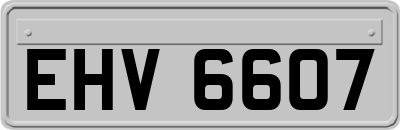 EHV6607
