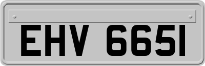 EHV6651