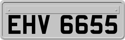 EHV6655