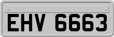 EHV6663